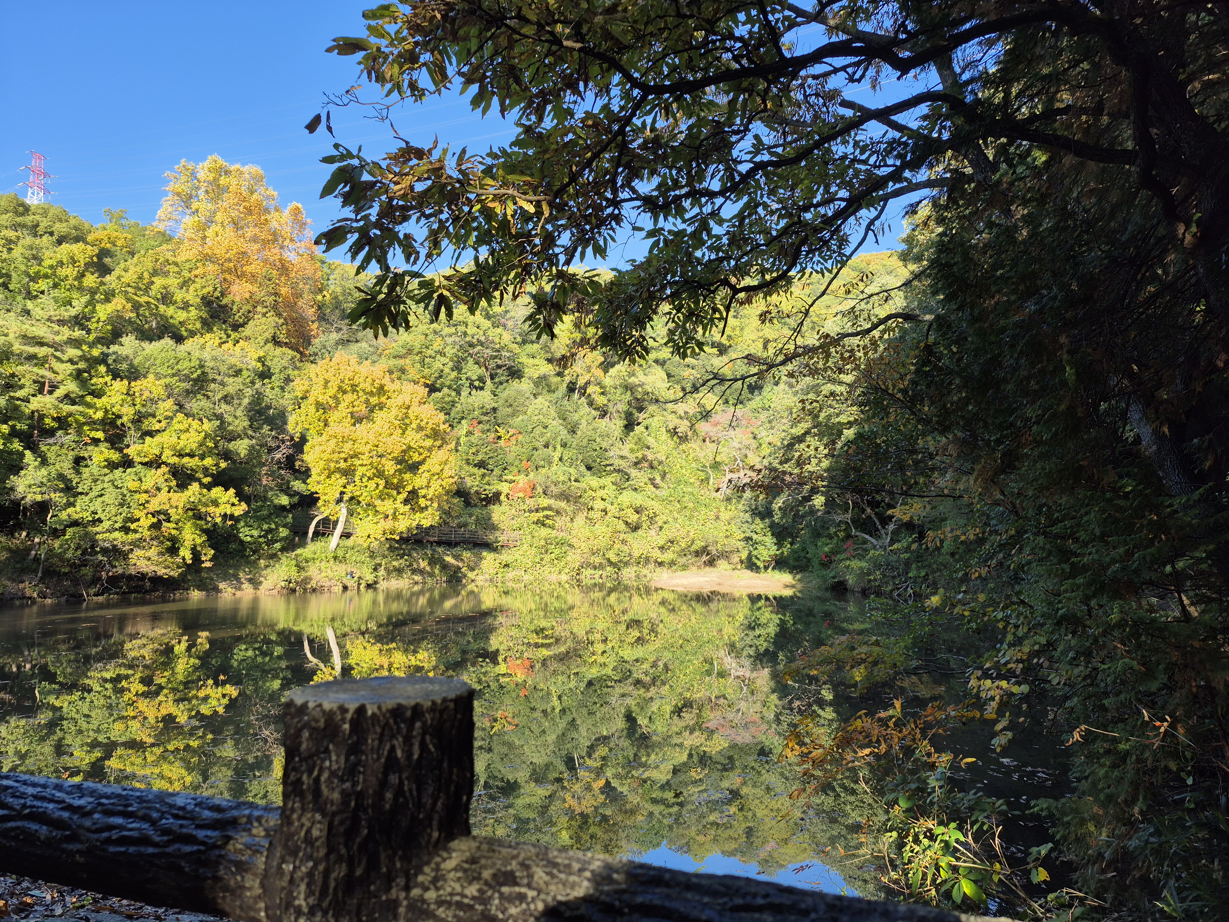 水面に景色が映る神秘的な池
